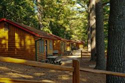 The Log Cabins Under Towering Pines