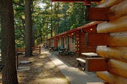 The Log Cabins Under Towering Pines
