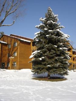Tall Timber Lodge